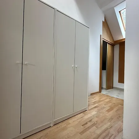 Chihuahua Homestay