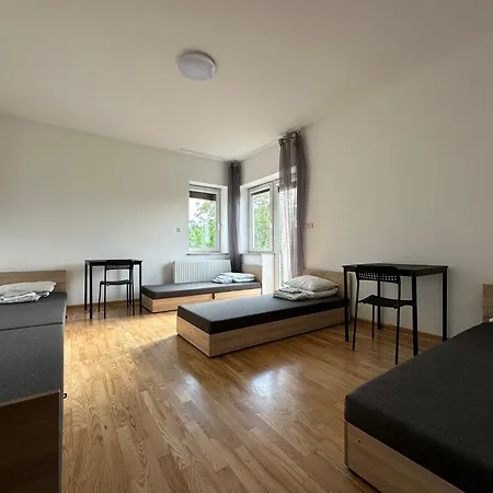 Homestay Chihuahua Gdansk