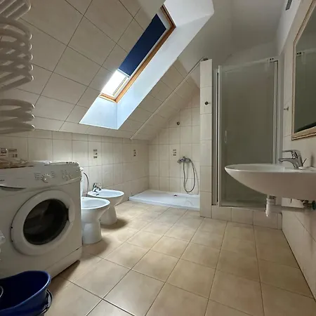Chihuahua Homestay Gdansk