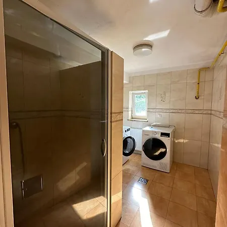 Chihuahua Homestay Gdansk